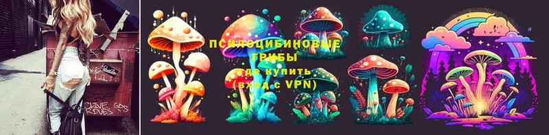 Псилоцибиновые грибы ЛСД  darknet формула  Алагир  мега  